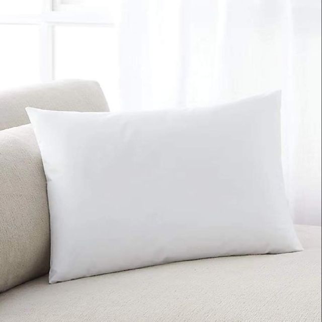 Vacuum Luxury Filled Pillow